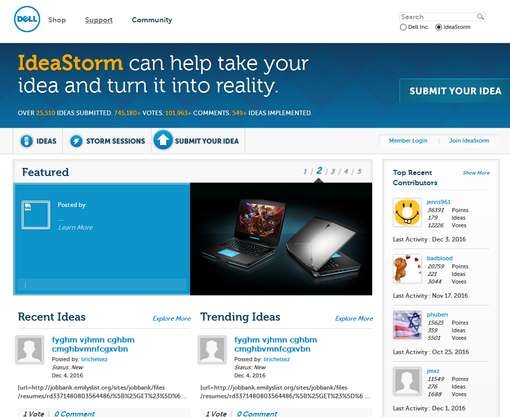 Dell Idea Storm est un autre exemple parmi les systèmes de management des idées