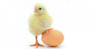 Mesurer la performance des incubateurs ?