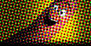 Camps, la startup qui rassemble autour de la cuisson ! [étude de cas]