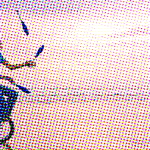 Les 10 bonnes pratiques pour réussir sa startup