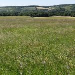 Mobility As A Service : bientôt la fin des barbelés