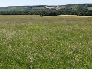 Mobility as a Service : construire des écosystèmes innovants