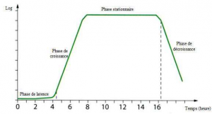 Exemple d'une courbe de croissance bacterienne