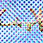 L'entreprise libérée, concept à gogo ?