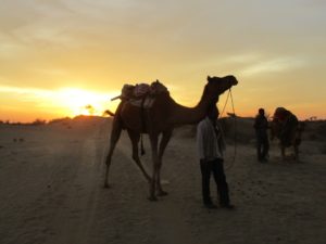 Covid : comment voyagera-t-on demain ?