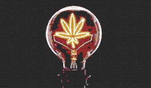 Quand la législation stimule l&rsquo;innovation : l&rsquo;exemple du cannabis médical