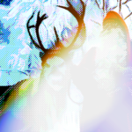 La boutique du père Noël ne conait pas la crise